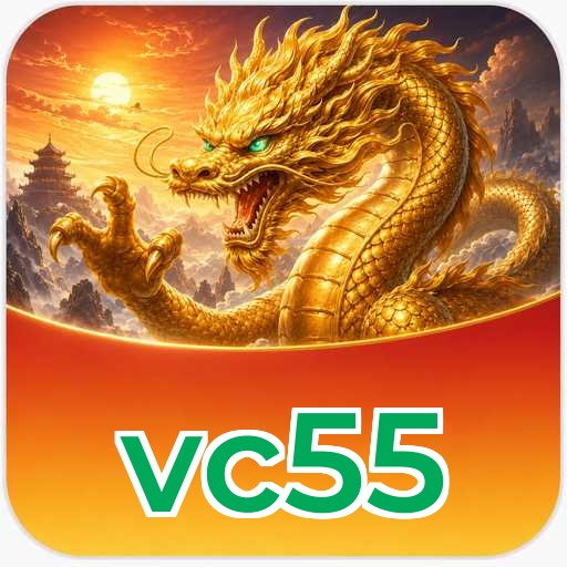 Security Audit - vc55 Comprehensive Analysis