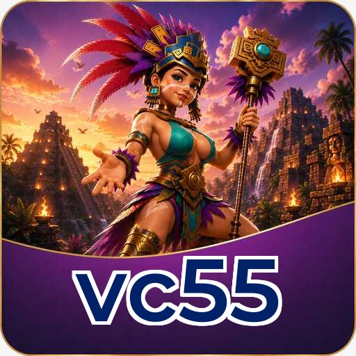 Troubleshooting - vc55 Optimization Tips