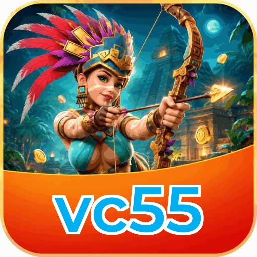 Privacy & Security vc55