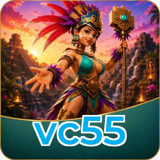 Overview vc55